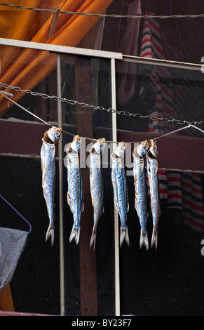 Fische hängen im Fenster in Chinatown San Francisco Kalifornien Stockfoto