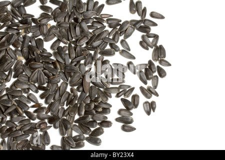 Sonnenblumenkerne auf weißem Hintergrund Stockfoto