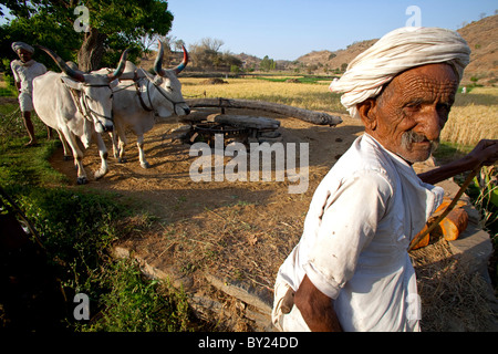 Indien, Rajasthan.  Auf dem Lande Leben geht weiter, wie es seit Jahrhunderten mit einem Vieh zog Wasser Pumpe bietet die Stockfoto