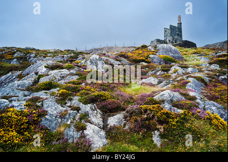 Mountain Mine, ein verlassenes kornisches Maschinenhaus aus dem 19. Jahrhundert, das früher für den Kupferbergbau in Allihies, Beara Peninsula, County Cork, Irland, genutzt wurde Stockfoto