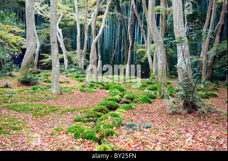 Asien, Japan. Kyoto, Sagano, Arashiyama, Gio Ji (Gioji) Tempel, Moos Garten Stockfoto