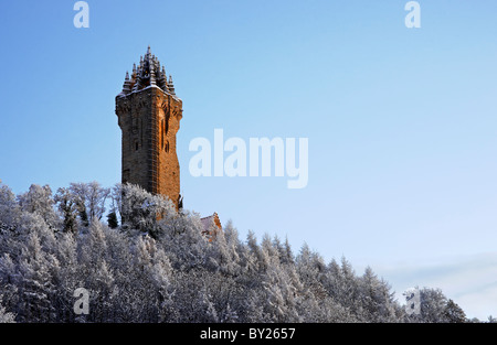 Das National Wallace Monument auf Abbey Craig mit frostigen Bäume, Stadt Stirling, Schottland, UK. Stockfoto