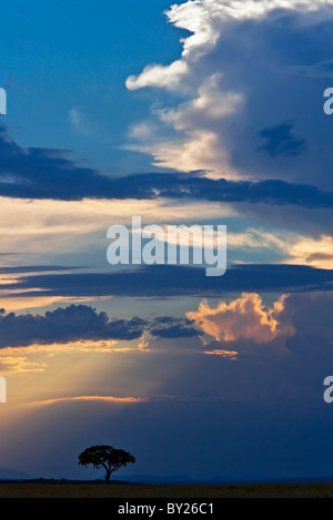 Am späten Nachmittag durchbricht die Sonne ein Gewitterhimmel in Masai Mara National Reserve Stockfoto