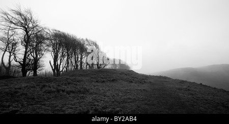 Nebel am Cherhill, Wiltshire, England. Stockfoto