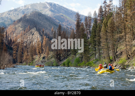 Middle Fork des Salmon River-Rafting, ID Stockfoto