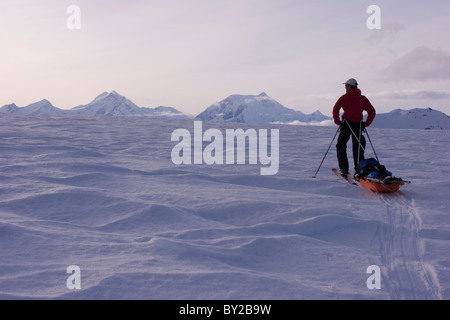 Gletscher-Geologie / Doktorand Ski über den Gletscher Brady und ziehen Sie einen Schlitten geophysikalische Geräte. Stockfoto