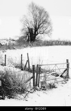 Winterschnee in der Nähe von Avebury, Wiltshire Stockfoto