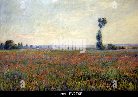 Mohnfeld 1881 Claude Monet 1840-1926 Frankreich Französisch Stockfoto