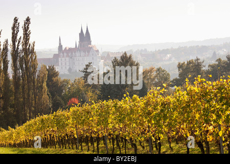 Deutschland, Sachsen, Meissen, Prinz Zur Lippe Weinberge im Herbst Stockfoto