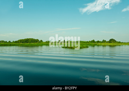 Schöner Morgen in Florida Stockfoto