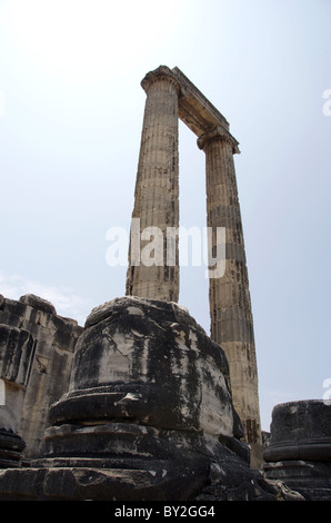 HISTORISCHE Ruinen der Tempel des APOLLO DIDIUM Türkei DIDIUM Türkei DIDIUM Türkei 22. Mai 2010 Stockfoto