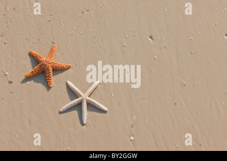 Idyllic summer vacation background with copy space Stockfoto