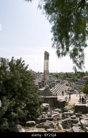 HISTORISCHE Ruinen der Tempel des APOLLO DIDIUM Türkei DIDIUM Türkei DIDIUM Türkei 22. Mai 2010 Stockfoto