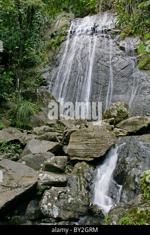 La Coca fällt im El Yunque National Forest in Puerto Rico Stockfoto