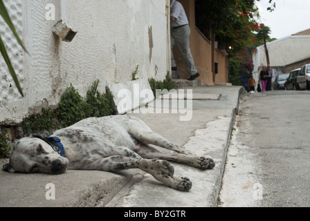 Ein Dalmatiner, schlafen auf dem Bürgersteig in Athen, Griechenland. Stockfoto