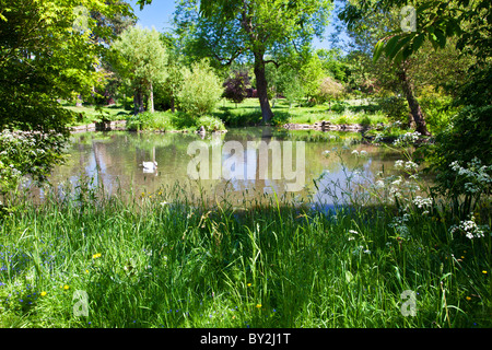 Ein großer Zierteich oder kleinen See in einem englischen Landhaus-Garten im Sommer Stockfoto