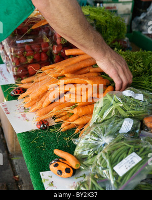 Karotten und andere frische Gemüse auf einem Bauernmarkt in San Francisco, Kalifornien. Stockfoto