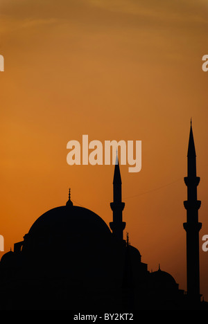 ISTANBUL, Türkei / Türkiye — Silhouette der Süleymaniye Camii (Süleymaniye-Moschee) in Istanbul, Türkei. Stockfoto