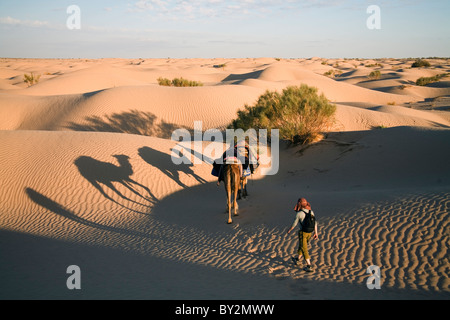 Lange Schatten der Kameltrekking führen Nasser führenden zwei Kamele (Dromedare) und wie ein Tourist durch die Wüste. Stockfoto