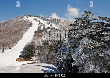 Togakushi Winter Skipisten mit Mt.Menou im Hintergrund in der Präfektur Nagano, Japan Stockfoto