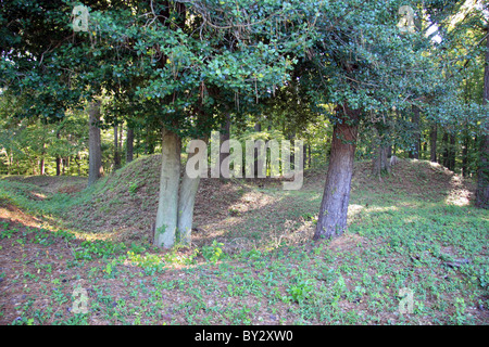 Verbleibenden Erdwerke in Fort Darling auf den James River, Drewrys Bluff, Richmond, VA. Stockfoto