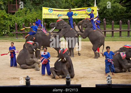 Anzeige von asiatischen Elefanten (Elephas Maximus) an der Samphran Elefant Boden und Krokodilfarm in Nakhon Pathom Stockfoto