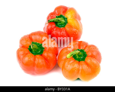 Leckere rote Paprika auf weißem Hintergrund Stockfoto