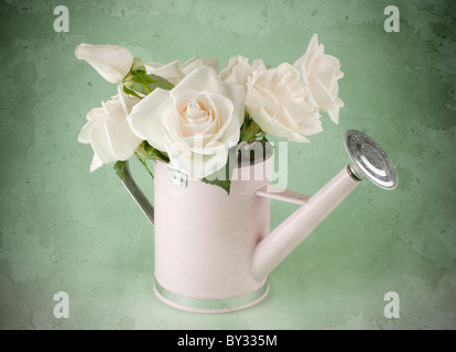 Garten Gießkanne mit cremefarbenen Rosen Stockfoto