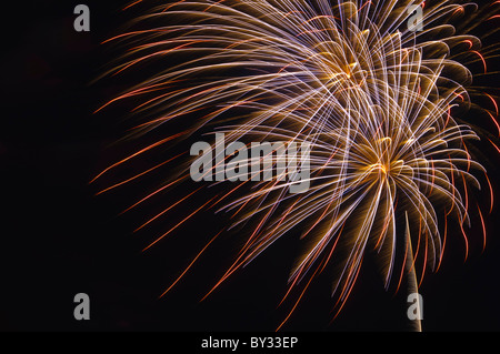 Feuerwerk Licht am Nachthimmel, Annapolis, Maryland, USA Stockfoto