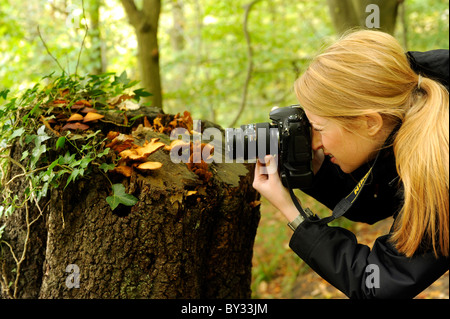 Ein Mädchen mit einer Nikon digital single Lens reflex DSLR-Kamera, eine Nahaufnahme Makro-Fotografie von Pilzen zu nehmen Stockfoto