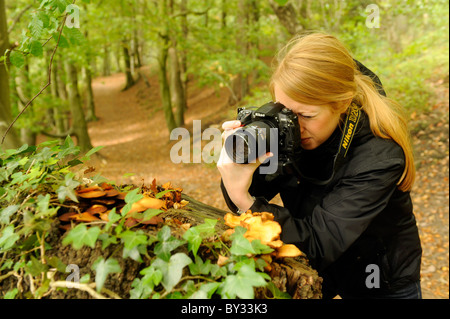 Ein Mädchen mit einer Nikon digital single Lens reflex DSLR-Kamera, eine Nahaufnahme Makro-Fotografie von Pilzen zu nehmen Stockfoto