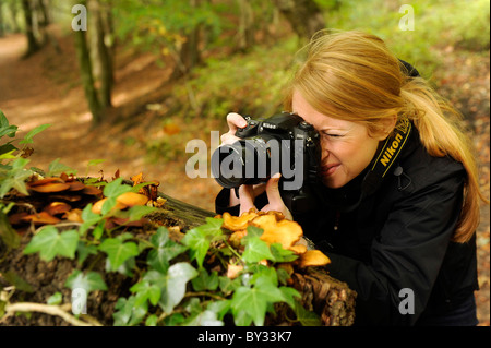 Ein Mädchen mit einer Nikon digital single Lens reflex DSLR-Kamera, eine Nahaufnahme Makro-Fotografie von Pilzen zu nehmen Stockfoto