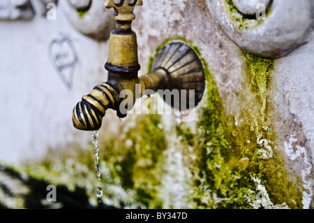 Wasserfontäne im Gülhane-Park Istanbul | ISTANBUL, Türkei — Nahaufnahme eines Messinghahns an einem osmanischen Steinbrunnen im Gülhane-Park, neben dem Topkapi-Palast, Wasser tropft an einem moosbewachsenen Becken und einem kaum erkennbaren Herz vorbei. Brunnen wie dieser, bekannt als çeşme, wurden historisch als Akte der öffentlichen Wohltätigkeit gestiftet, die Passanten kostenloses Wasser zur Verfügung stellte, eine Praxis, die in der islamischen Tradition verwurzelt ist. Stockfoto