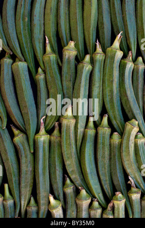 Okra, ladysfingers, Abelmoschus esculentus, Samenkapseln. Indische pflanzliche Nahrung Muster. Indien Stockfoto