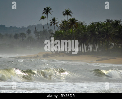 Côte d ' Ivoire-Strand-Szene in der Nähe von Sassandra Stockfoto