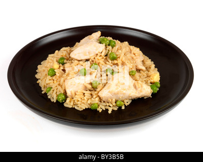 Huhn und gebratener Reis Stockfoto