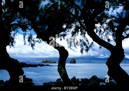 Küsten Blick vom Madelena auf Pico Insel über den Ärmelkanal auf Faial Insel der Azoren Stockfoto