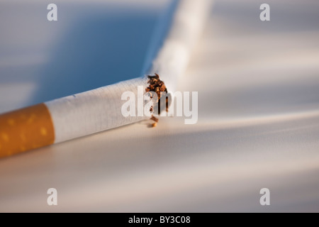 Gebrochene Zigarette auf weißem Hintergrund Stockfoto