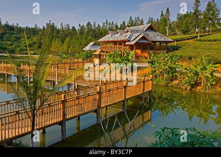 Holzbrücke über See in Xishuangbanna Tee Research Institute, Provinz Yunnan, China. JMH4231 Stockfoto