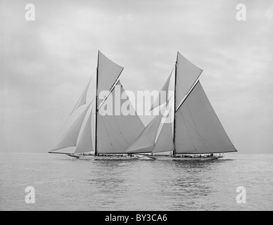 Shamrock III und Vertrauen zu Beginn von 1903 Amerikas Cup Regatta Stockfoto