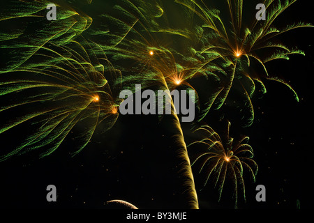 Feuerwerk in Form von Palme Stockfoto