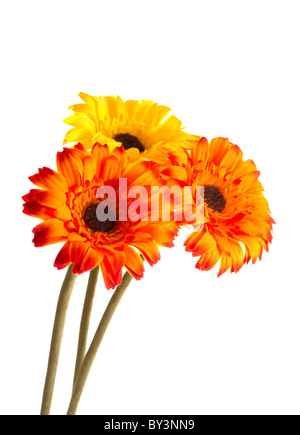 Drei künstliche Blumen Stockfoto