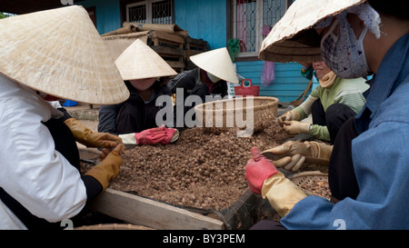 Landarbeiter in DaLat, Vietnam Stockfoto