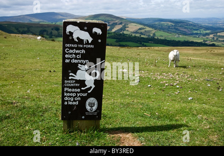 Zweisprachige Schafe Land Bitte halten Sie IHREN Hund ON A führen Zeichen in Brecon Beacons National Park Powys Wales UK Stockfoto