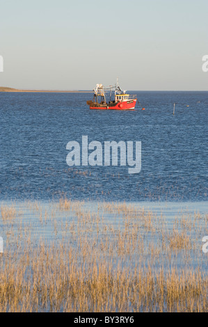 roten Fischerboot vor Anker unter Ruderboote vor der Isle of Sheppey Stockfoto