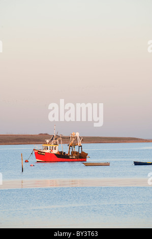 roten Fischerboot vor Anker unter Ruderboote vor der Isle of Sheppey Stockfoto