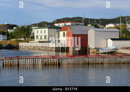 Häuser am Meer am Trinity Neufundland sichern Stockfoto