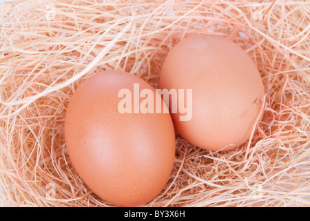 Hühnereier auf einem Bett aus Stroh Stockfoto