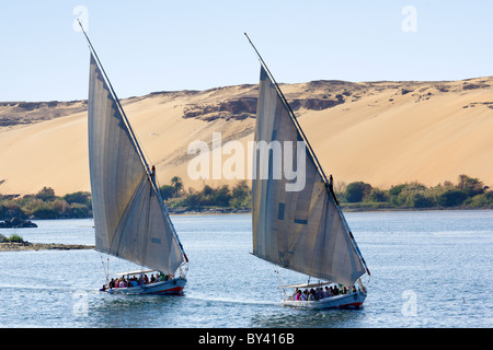 Feluken vor dem Wind aus dem Westufer des Nil - Assuan, Ägypten Stockfoto