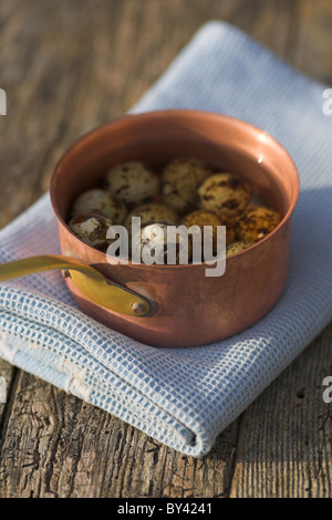 Wachtel-Eiern in Kupfer Pfanne auf blauem Tuch. Stockfoto